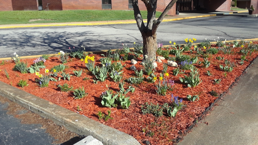 A photo taken in the spring a few years ago shows one of the locations on the churchgrounds of Nativity of Our Savior in Portage that is maintained by the parish's Garden Angels group. (Provided photo)