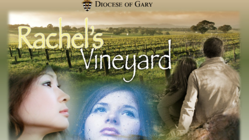 Rachel's Vineyard