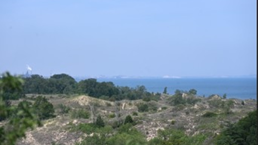Indiana Dunes