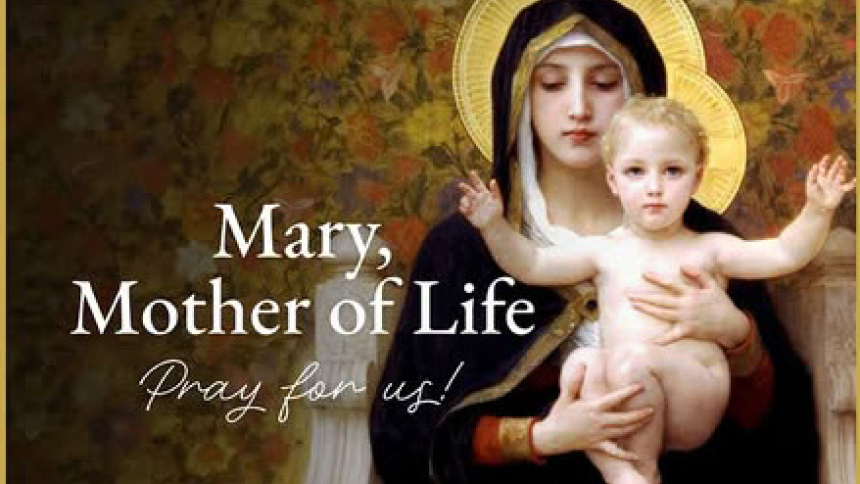 Respect Life Poster